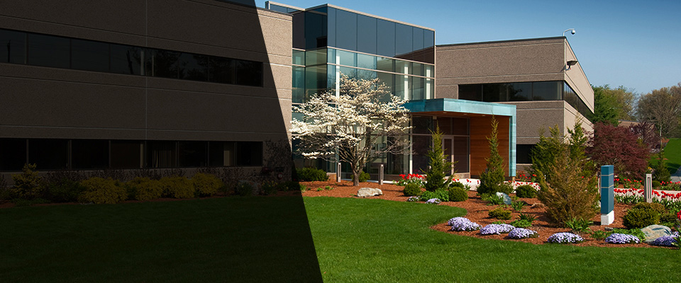 Provincetown Landscapers