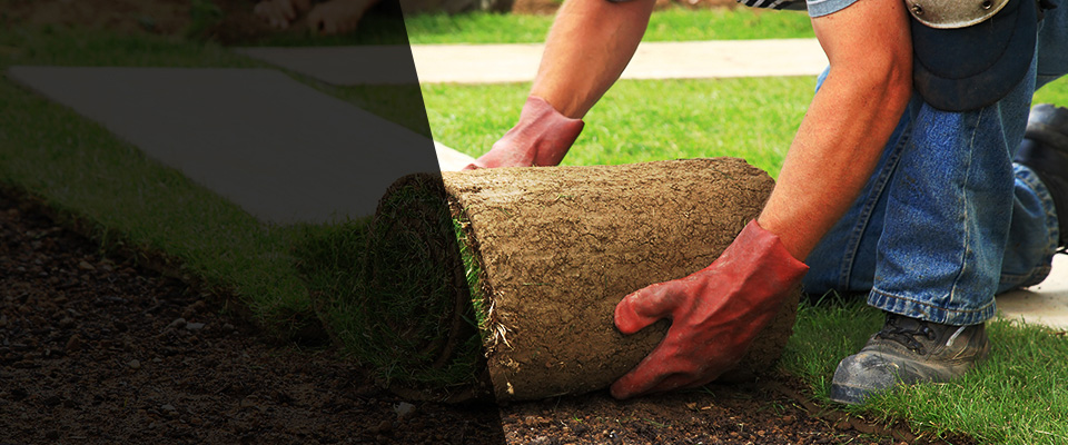 Provincetown Landscapers